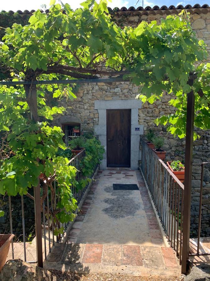 Le Fleuriste Villa Saint-Sauveur-de-Cruzière Eksteriør billede